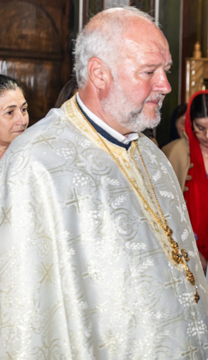 Pr. Vlad Daniel